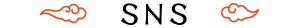 SNS